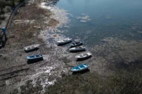 Sapanca Gölü kritik seviyede “Kentleşme ve sanayi gölü bitiriyor”