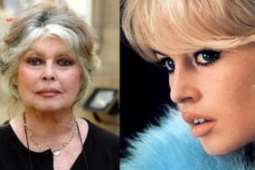 Fransız sinemasının efsanesi Brigitte Bardot hastaneden çıktı