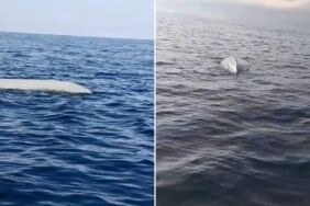 Karadeniz'de 'insansız deniz aracı' alarmı