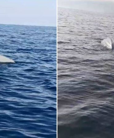 Karadeniz'de 'insansız deniz aracı' alarmı