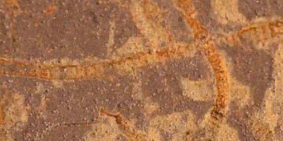 3,3 milyar yıllık kayalarda büyük keşif: Yaşam sandığımızdan erken mi başladı?