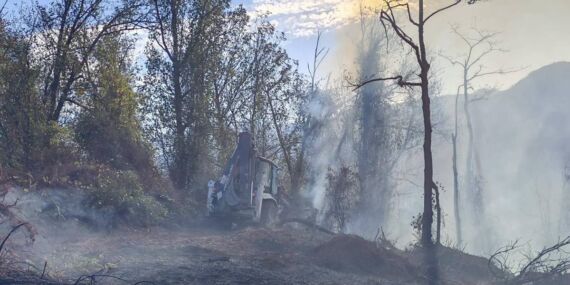 Artvin’de korkutan orman yangını!