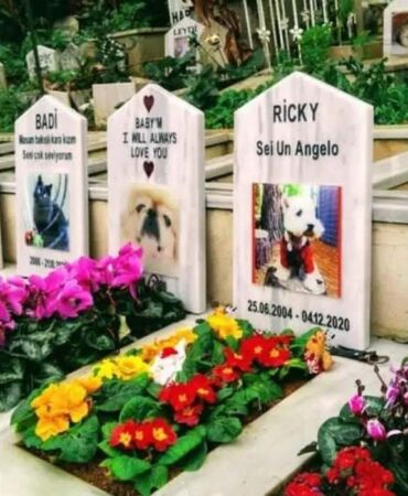 Evcil hayvan sahipleri yüksek defin ücretleriyle karşı karşıya Fiyatlar cep yakıyor!