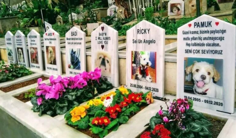 Evcil hayvan sahipleri yüksek defin ücretleriyle karşı karşıya Fiyatlar cep yakıyor!