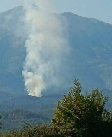 Muğla Seydikemer'de orman yangını Ekipler alevlere müdahale ediyor