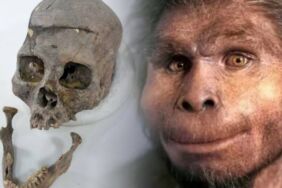 Yeni insan topluluğu keşfi Checua halkı 6 bin yıl önce Kolombiya’da yaşamış