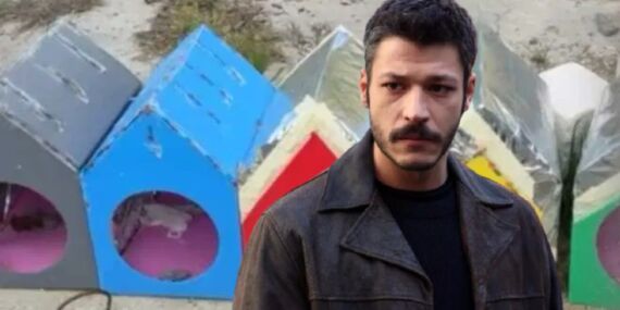 Kubilay Aka’dan site yönetimine tepki: ‘Kedileri kapanla toplamışlar!’