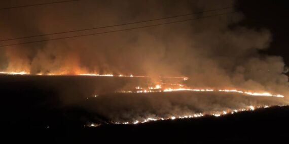 Yüksekova’da kuş cennetinde yangın: Yerleşim yerleri tehdit altında!