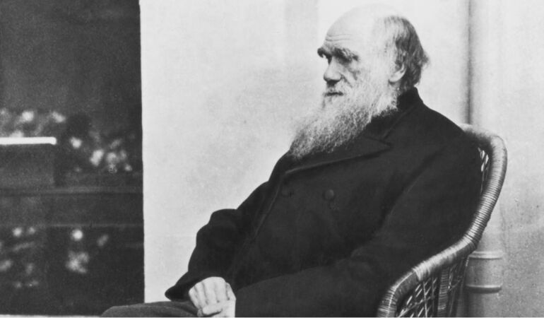 Charles Darwin tarafından gözlemlenen kuş türü 200 yıl sonra yeniden ortaya çıktı!