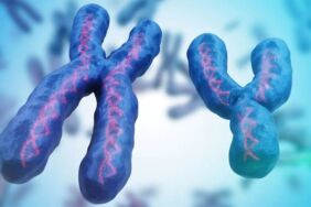 Cinsiyet belirleme sistemi tehlikede mi Y kromozomunun geleceği tartışma yaratıyor