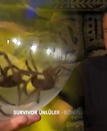 Acun Ilıcalı açıklamıştı Survivor’daki RTÜK engeline takılan ceza belli oldu!