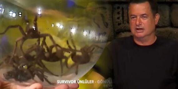 Acun Ilıcalı açıklamıştı: Survivor’daki RTÜK engeline takılan ceza belli oldu!