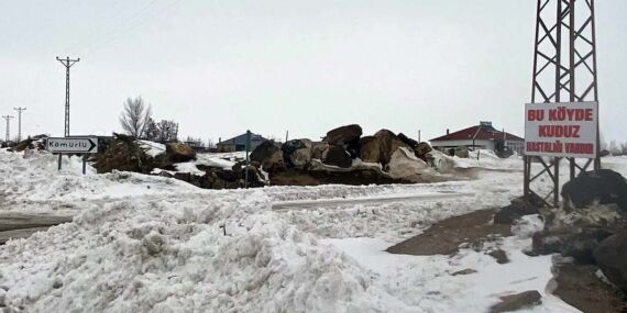 Bitlis’te bir köyde kuduz tespit edildi!