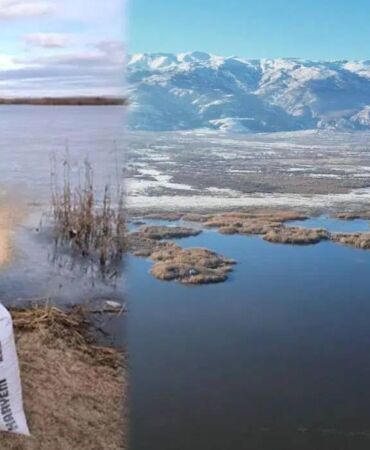 Donan Eber Gölü'ne kuşlar için yem bıraktılar