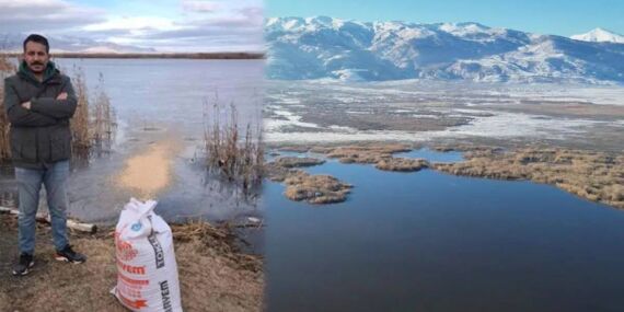 Donan Eber Gölü’ne kuşlar için yem bıraktılar…