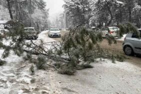 Kar yağışı tehlike yarattı Kızılcahamam’da ağaç devrildi!