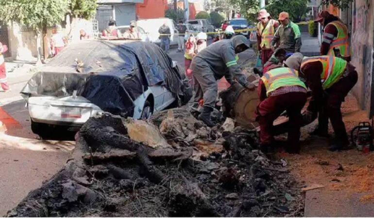 Meksika’da 6.5 büyüklüğünde deprem: Çok sayıda ölü ve yaralı var!
