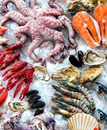 Adsız tasarım - 2026-02-19T102159.332