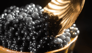 Adsız tasarım (27)