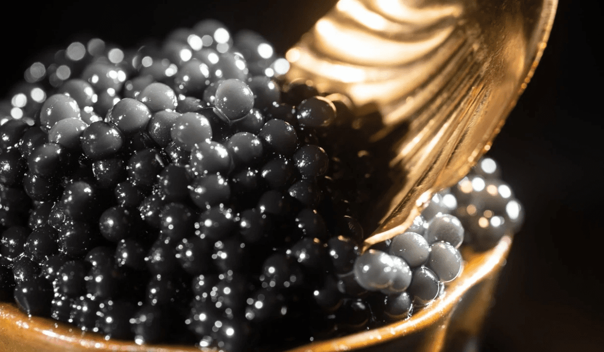 Adsız tasarım (27)