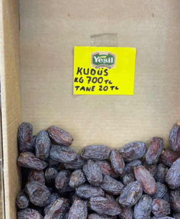 Adsız tasarım (45)