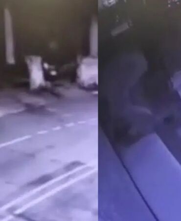 Çalıntı forklifle kuyumcu soygunu Zanlı eşekle kaçarken yakalandı