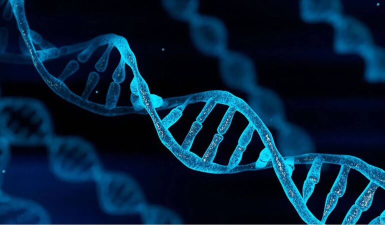 DNA, hayatın ilk anından önce hazır hale geliyor