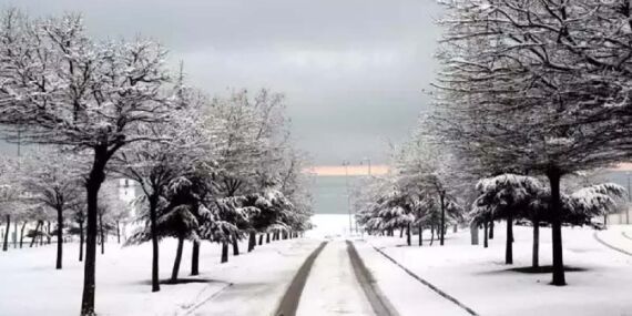 Erciş’te kar yağışı sonrası kartpostallık görüntüler…