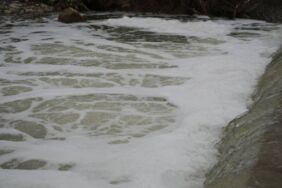 Gebze’de kimyasal atık tepkisi Köpüren dereden ağır kokular yükseliyor!