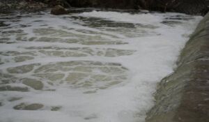 Gebze’de kimyasal atık tepkisi Köpüren dereden ağır kokular yükseliyor!