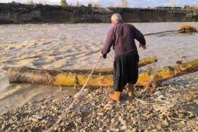 Selin sürüklediği ağaçlar yakacak oldu 'Tehlikeli ama odun yok'
