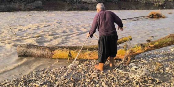 Selin sürüklediği ağaçlar yakacak oldu: ‘Tehlikeli ama odun yok’