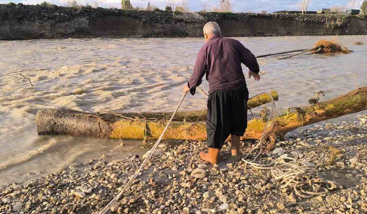 Selin sürüklediği ağaçlar yakacak oldu 'Tehlikeli ama odun yok'