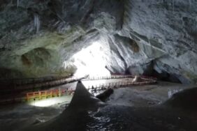 Tıp dünyasının umutlandıran gelişme Süper bakterilerin büyümesini durdurabiliyor!