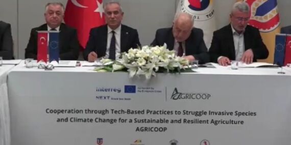 Karadeniz bölgesinde böceklerle topyekûn mücadele!