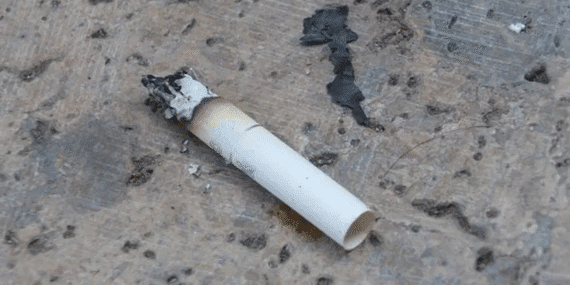 44 yıllık cinayet sigara izmaritinden çıkan DNA ile çözüldü