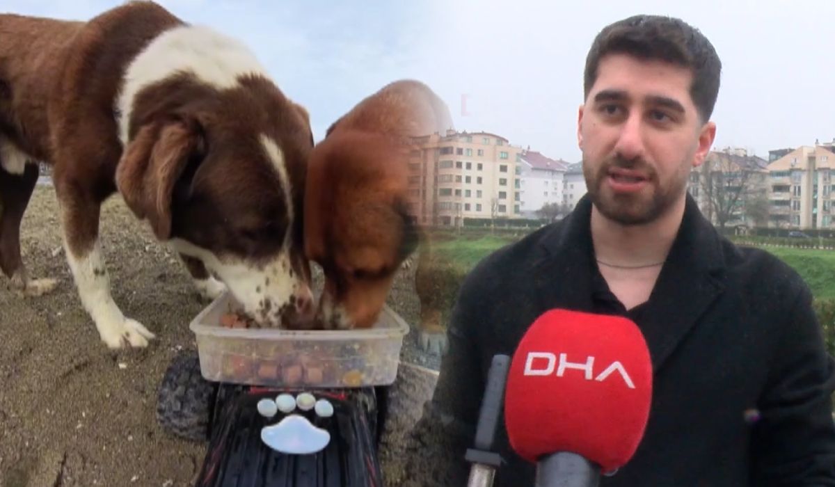 sokak hayvanlarına oyuncak arabalı mama servisi