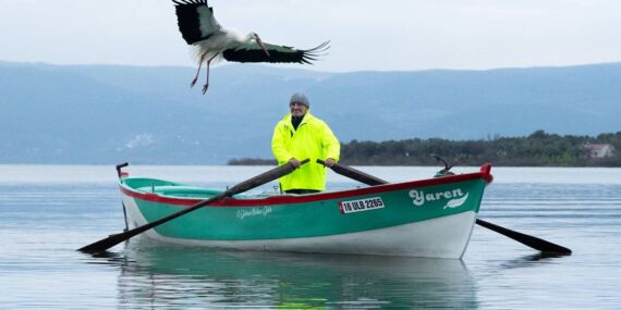 Yaren leylek yine geldi: 15’inci kez Adem Amca’nın kayığında