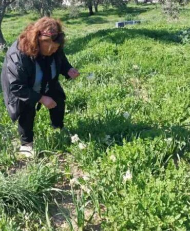 Kış ortasında bahar kokusu 'Aşk çiçeği' Mut’ta yeni geçim kapısı oldu1