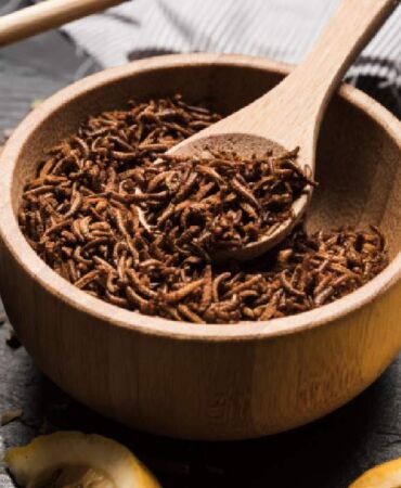 Şeflerin yeni tercihi Böcek proteini neden gündemde