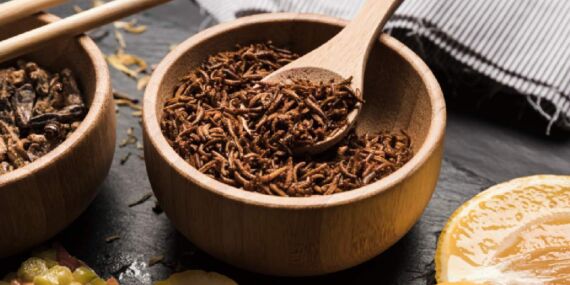 Şeflerin yeni tercihi: Böcek proteini neden gündemde?