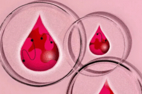 Tıbbi araştırmalarda menstrüel kanın önemi ve potansiyeli