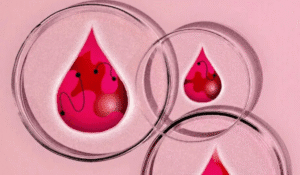 Tıbbi araştırmalarda menstrüel kanın önemi ve potansiyeli