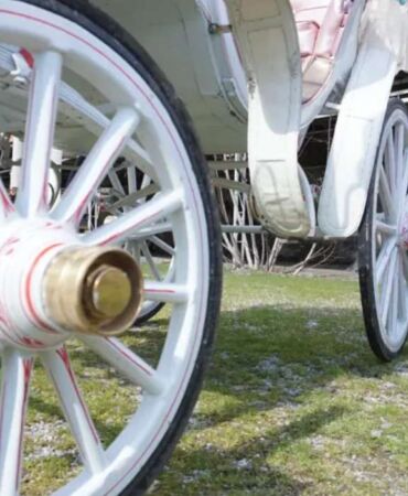 Yüzyıllık meslek ölüyor Yüksek mühendislik içeren meslek bitiyor!