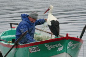 adem amca ve yaren leylek