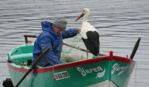 adem amca ve yaren leylek