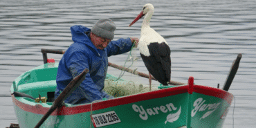 adem amca ve yaren leylek