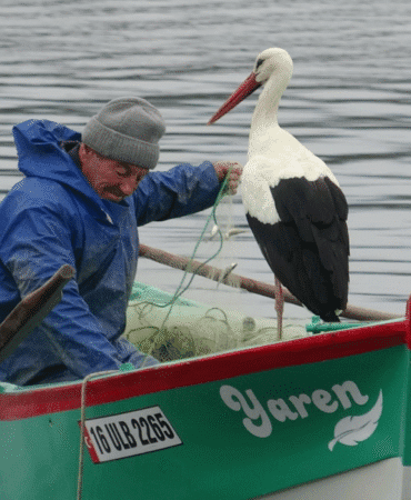 adem amca ve yaren leylek