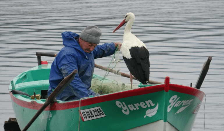 Adem amca ve 15 yıllık dostu Yaren leylek  hasret gideriyor