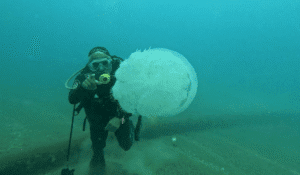 antalya'da 10 kiloluk denizanaları göründü